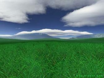 Green Nature Desktop Wallpaper In HD