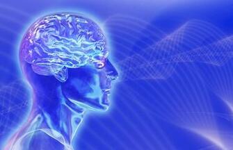 Mcdermott Wellness Center Acupuncture In Naples Fl Usa