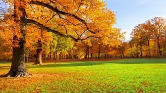 Beautiful Scenery Wallpaper HD Pictures One