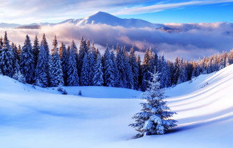 Winter Snow Desktop Wallpaper