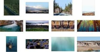 Apple Earth Day Hidden Nature Wallpaper