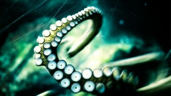 Release The Kraken Wallpaper HD