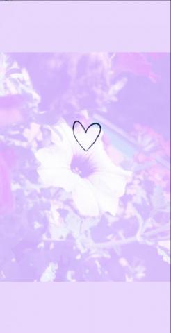 Purple Sunflower Wallpaper