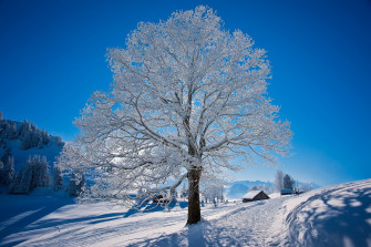 Photography Winter HD Wallpaper