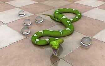 Snake Pictures Desktop HD Green Wallpaper Grey Rat