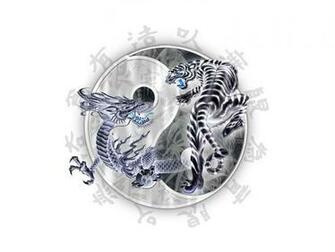 Tiger Vs Dragon Graphics Code Comments Pictures