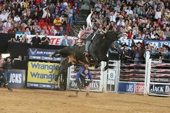 Bull Riding Bullrider Rodeo Western Cowboy Extreme Cow