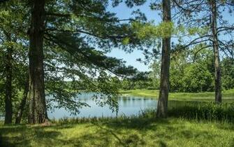 Picture Usa Morton Arboretum Northern Illinois Nature