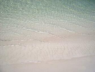 Stock Photo Of Tropical Beach Background Photoeverywhere