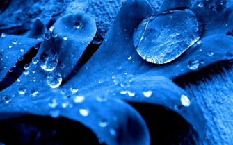 Blue Water Droplets Wallpaper