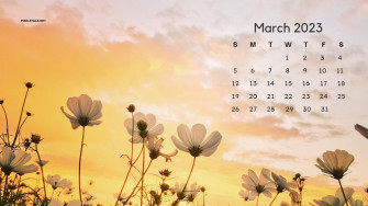 March Calendar Desktop Wallpaper Net