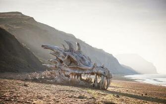 Game Of Thrones Dragon Skull Skeleton Bones Beach Fantasy Dragons G