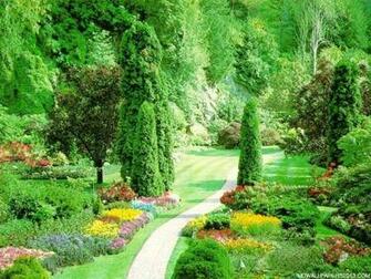 Spring Wallpaper Background High Definition