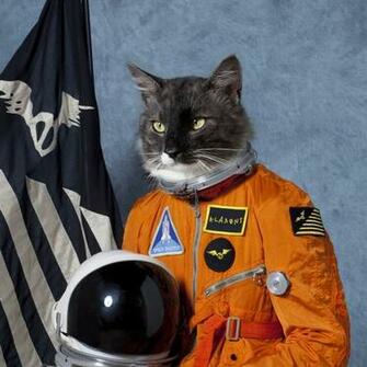 Astronaut Cat In Space Image Pictures Becuo