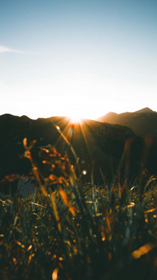 Enjoying The Warmth Of Beautiful Sunshine Wallpaper