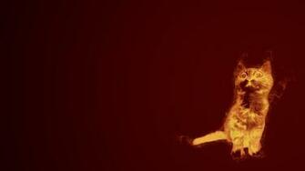 Flame Cat Wallpaper By Flowcat