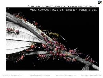 Motivational Wallpaper On Teamwork And Ants Dont Give Up
