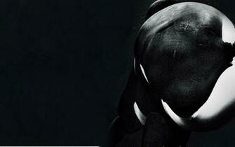 Please Watch Blackfish Tilikum