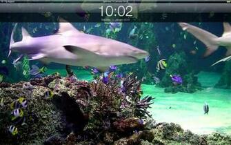 Mac App Store Aquarium Live Lite Relaxing Screensaver Clock