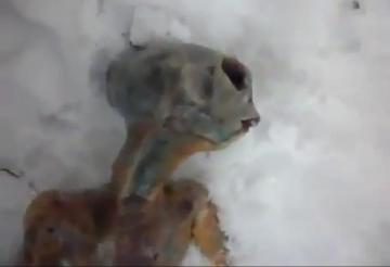 Cv Taylor Baldwin