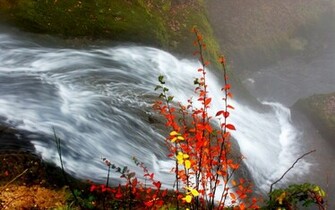 Desktop Autumn Themes Nature Image Full HD Wallpaper