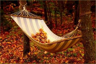 Most Beautiful Desktop Wallpaper Ever Search Pictures Photos