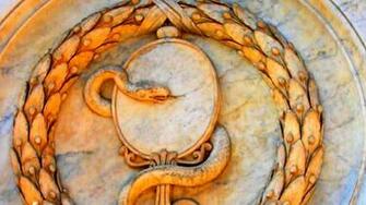 Amazon Watch The Serpent Cult Origins Of Sacred Religion