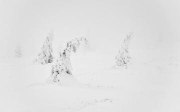 Aesthetic White Wallpaper On