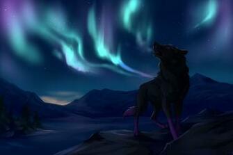 Next Wallpaper Prev