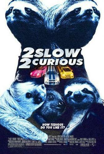 Slow Curious Sloths Too Fast Furious