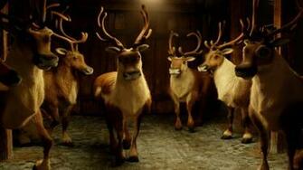 Christmas Reindeer Background HD Wallpaper