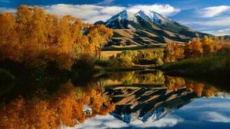 Image Bing Wallpaperer Wallpaper