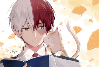Cute Todoroki Wallpaper