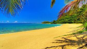 Sunny Beach Wallpaper