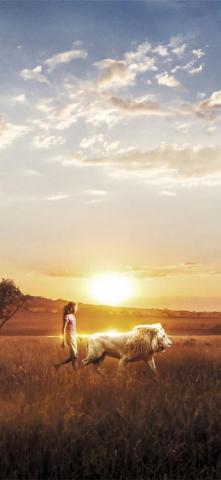 Mia And The White Lion iPhone X Wallpaper