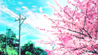 Cherry Blossom Wallpaper
