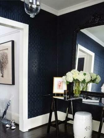 Wallpaper For Foyer Contemporary Entrance Ferreira Design