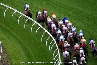 Beautiful Wallpaper Racing Horse