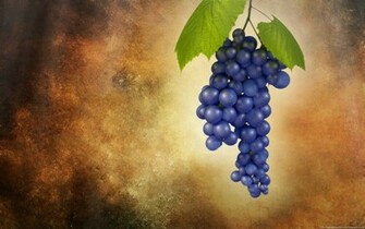 Grapes Wallpaper Jpg
