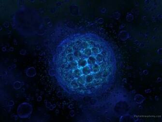 Protist Wallpaper Jpg