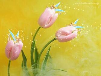 Tinkerbell Screensavers