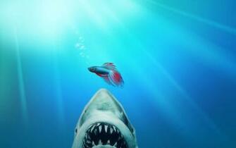 Jaws Sharks Underwater Best Widescreen Background Awesome HD Wallpaper