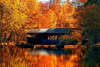 Covered Bridges HD Wallpaper For Your Desktop Background Or
