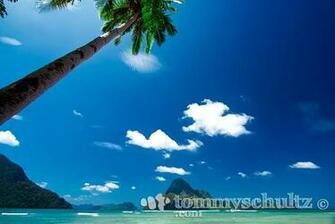 Tropical Beach Sunset Wallpaper Palawan Island