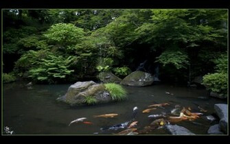 Japanese Garden Wallpaper Background Desktop