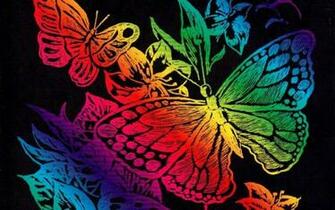 Colorful Butterfly Wallpaper Animals Butterflies HD