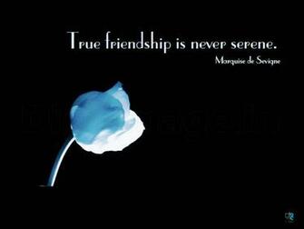 Friendship Wallpaper And Quotes