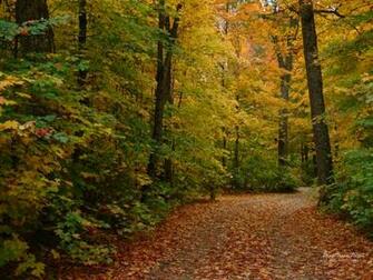 Desktop Wallpaper Fall Scenes In HD