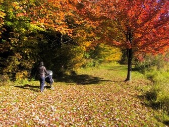 Pretty Nature Pictures