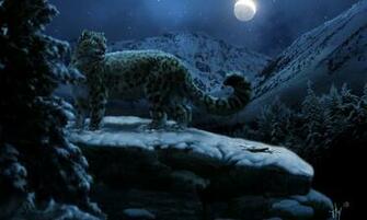 HD Wallpaper Luipaard Sneeuw Nacht Kitty Meow Foto